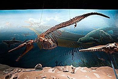 《师父》终极内容更新现已上线 加入6个新地图